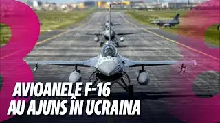 Știri: Omorât de viespi/ Avioanele f-16 au ajuns în Ucraina/ 05.08.2024