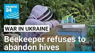 Ukrainian beekeeper refuses to abandon hives as Russian troops advance • FRANCE 24 English