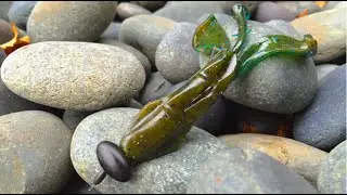 Best Rig For Rock & Brush -- Bass Fishing Rig