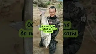 Осталось 2 дня до подводной охоты на Волге!