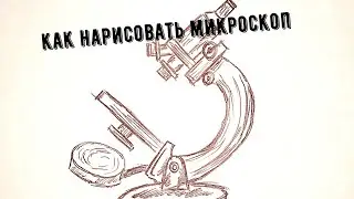 Как нарисовать микроскоп