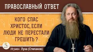 КОГО СПАС ХРИСТОС, ЕСЛИ ЛЮДИ НЕ ПЕРЕСТАЛИ ГРЕШИТЬ ?  Игумен Лука (Степанов)