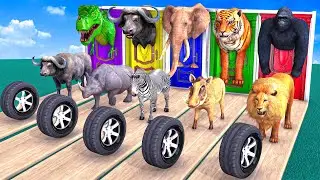 Choose the Right Door with Tires Mammoth Cow Gorilla Buffalo Dinosaur Fun in Playground