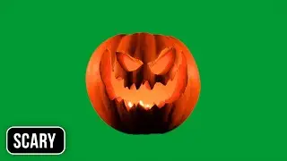 Halloween Pumpkin | Green Screen