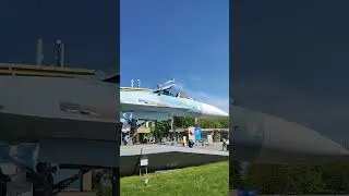 Видео на самокате. 