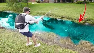 Exploring Backyard Canals FULL of Big Florida Fish!