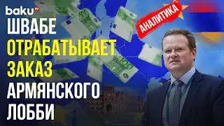 Антиазербайджанские заявления главы немецкой делегации в ПАСЕ Франка Швабе