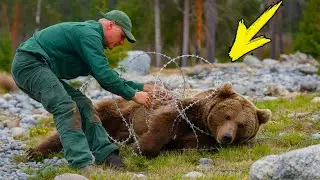 The man pulled the bear out of the trap. What happened next is simply incredible!