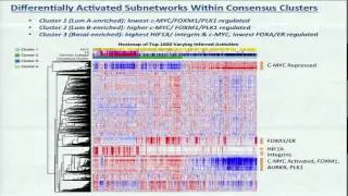 SuperPathway Analyses of Luminal and Basaloid Breast Cancers... - Christopher Benz