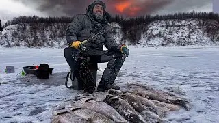 ЛЕНА! Я УХУЕЛ сколько рыбы в этой ЛУНКЕ?!! Первый лед Якутия.