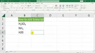 Apply Subscript in Excel | How to type subscript in Excel | How to insert subscript in Excel