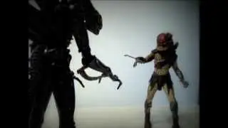 AVP STOP MOTION 3