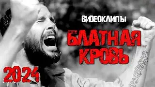 ♦️ БЛАТНАЯ КРОВЬ 2024! [ВИДЕОКЛИПЫ] @ЗолотоШансона