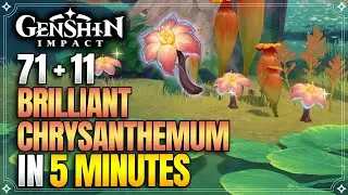 Brilliant Chrysanthemum | Fast and Efficient Route | Ascension Materials【Genshin Impact】