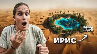 МЫ НАШЛИ ОАЗИС В ПУСТЫНЕ! В Доме на Колесах По Китаю