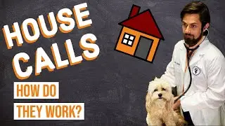 Veterinarian House Calls | Tips