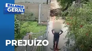 Homem cobra pra cortar árvore e some: moradora da Vila Brasil perdeu R$ 800