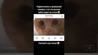 ПРОВЕРКА КОТА ЧЕРЕЗ КАМЕРУ | tiktok: kotya_kz