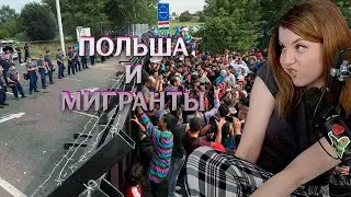 (5.07.23) Польша и мигранты, Страховка на животное, Каталония не Испания