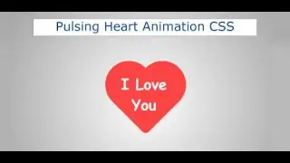 CSS Animations | CSS Animation tutorial | CSS Animation effects | CSS tutorial for beginners