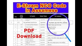 E-Shram NCO Code in Assamese