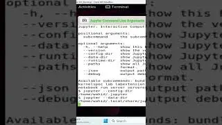 Jupyter Command Line Arguments  #shorts