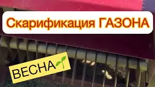 ✅СКАРИФИКАЦИЯ ГАЗОНА - ВЕСНА