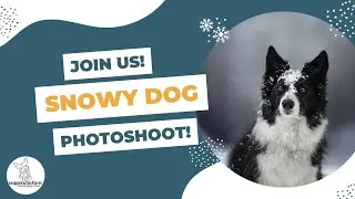 Come Behind the Scenes for a Snow Dog Photoshoot