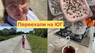 Купили дом🏠2️⃣3️⃣5️⃣По ягоды✅Любимая футболка очищена✅ В доме чистота✅Смородина на зиму ✅Мама 🎦