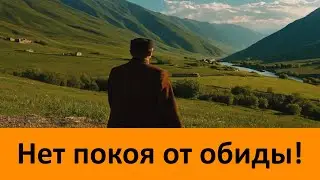 Нет покоя от обиды!