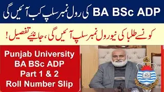 PU New Roll Number Slips of BA BSc ADP Part 1 and 2 Exams 2020 | Punjab University Roll Number Slips