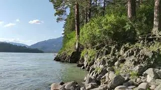 Берег реки. Шум воды. Стоковое видео. Футаж. / The river bank. The noise of the water. Stock video.