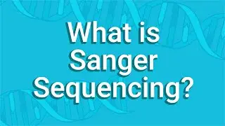 What Is Sanger Sequencing?