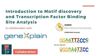 Introduction to Motif Discovery and Transcription Factor Binding Site Analysis