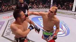 Лучшие финиши участников UFC 262