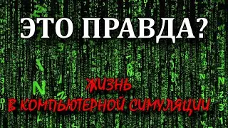 Жизнь в компьютерной симуляции | ЭТО ПРАВДА?