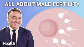 Urologist Breaks Down Male Fertility: Sperm Count, Varicoceles, and Treatment | Ask An Expert