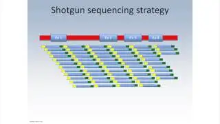 The Benefits of NGS with TruSight HLA | Illumina Video