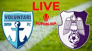 FC Voluntari - FC Arges MECI LIVE Superliga