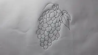 grapes drawing step by step | how to draw grapes easy