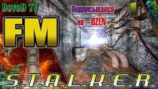 S.T.A.L.K.E.R. FM. #1.  Кордон. ТД. Х-18. Свалка. Агропром (подземка). Бар. Дикая территория. Янтарь