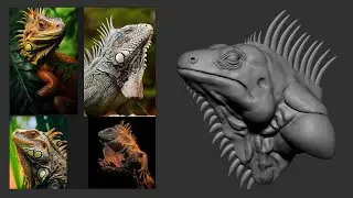 Digital Sculpting Iguana Bust - ZBrush Tutorial