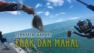 jarang yang tau❗ikan ini enak dan mahal || mancing bagan tanjung kait