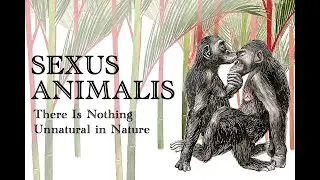 Sexus Animalis: There Is Nothing Unnatural in Nature - Emmanuelle Pouydebat