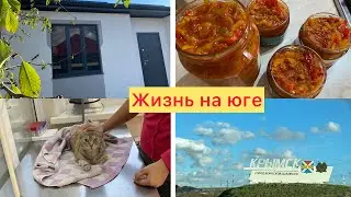 3️⃣0️⃣5️⃣Новый дом🏡Спасаем кошку😳Перец болгарский жгучий🌶️Как быстро посолить ИКРУ и ГОРБУШУ?!🫙