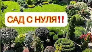 ‼️САД С НУЛЯ‼️ ОШИБКИ В ПОСАДКАХ. Разбор моего сада