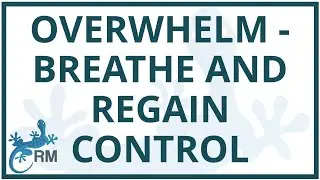 Overwhelm | Breathe and regain control