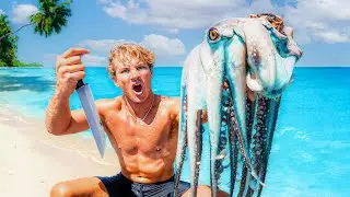 Catching Giant Octopus For Food On Remote Island