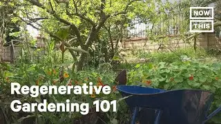 How to Start a Regenerative Garden At Home | NowThis