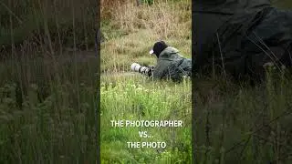 EPIC Wildlife Photography | Blue Heron | Birding